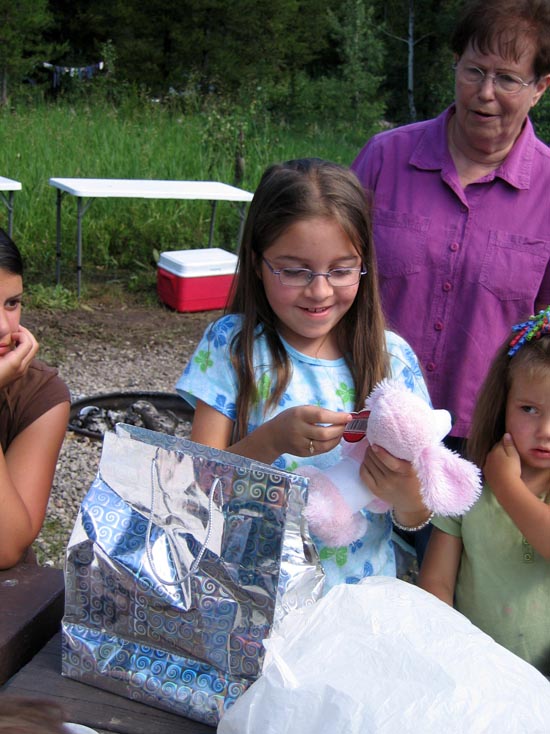 2006 family reunion in Yellowstone National Park